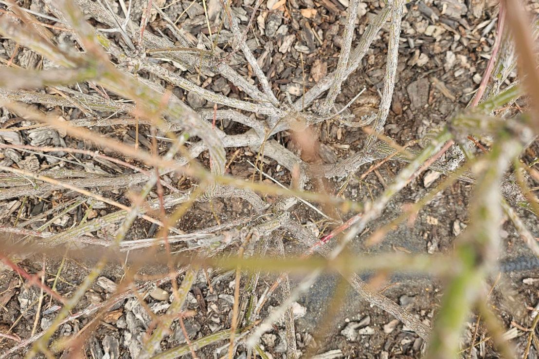 Dudes!! Last Foliage Shot for a&nbsp;minute…